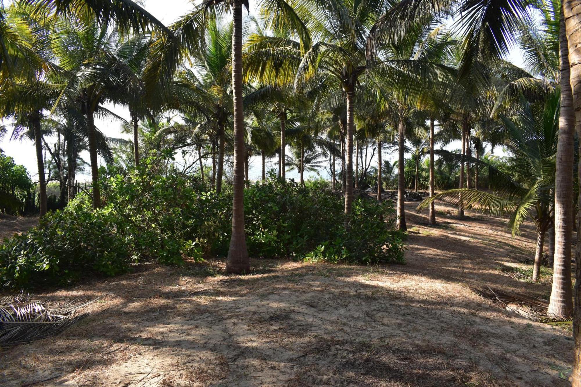 Sneh Beach Homestay - Wayangani Vengurla Exterior photo